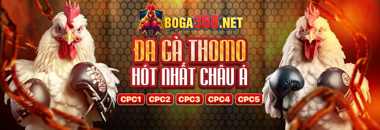 Sân vận động thể thao sôi động với logo mv666
